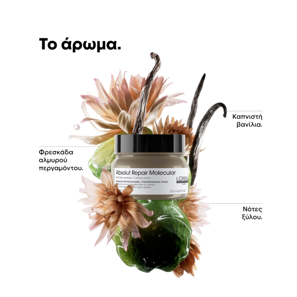 L'Oréal Professionnel Absolut Repair Molecular Μάσκα Μαλλιών για Επανόρθωση 250ml
