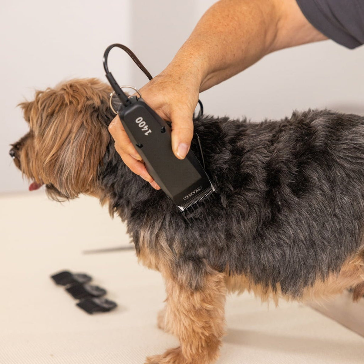 WAHL PET 1400 1406-0482 Επαγγελματική Κουρευτική Μηχανή Ρεύματος για Κατοικίδια Ηλεκτρομαγνητικό Μοτέρ 6000 RPM | 0.7-3 mm