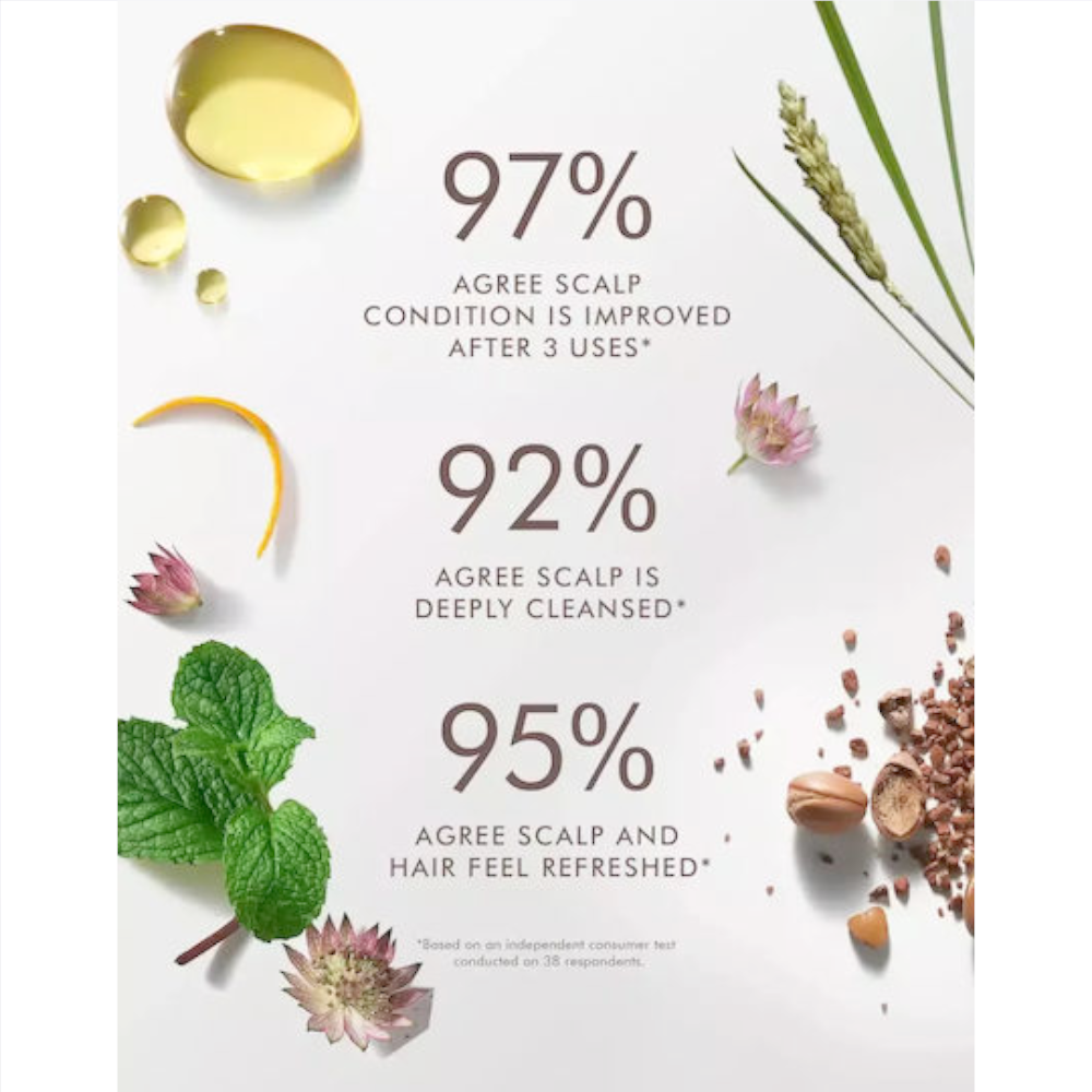 Moroccanoil Scalp Balancing Σαμπουάν Καθημερινής Χρήσης για Λιπαρά Μαλλιά 250ml