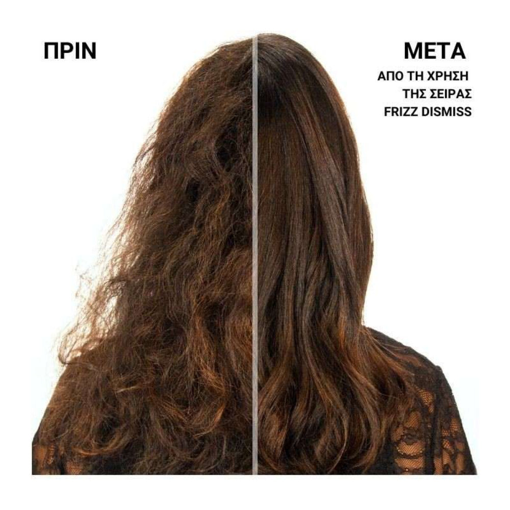 Redken Frizz Dismiss Σαμπουάν για Φριζαρισμένα Μαλλιά 300ml